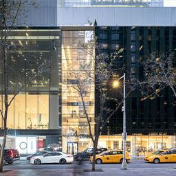 Museum of Modern Art - MoMA