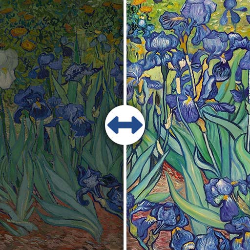 Iris (Van Gogh) 100x70cm